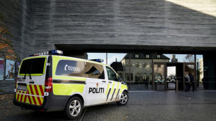 Militantes antipetr&oacute;leo intentan pegar sus manos a "El Grito" de Munch en Oslo