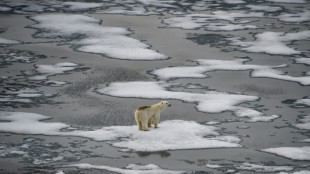 IPCC-Bericht: Auswirkungen des Klimawandels größer als angenommen
