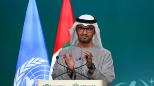 Weltklimakonferenz in Dubai beschließt Anfang vom Ende fossiler Energieerzeugung