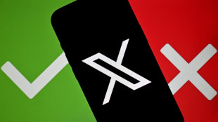 La Tanzanie bloque X apr&egrave;s le piratage d'un compte de sa police 