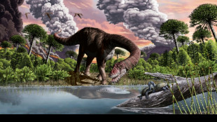Pó de asteroide que caiu na Terra causou inverno de 15 anos que dizimou dinossauros