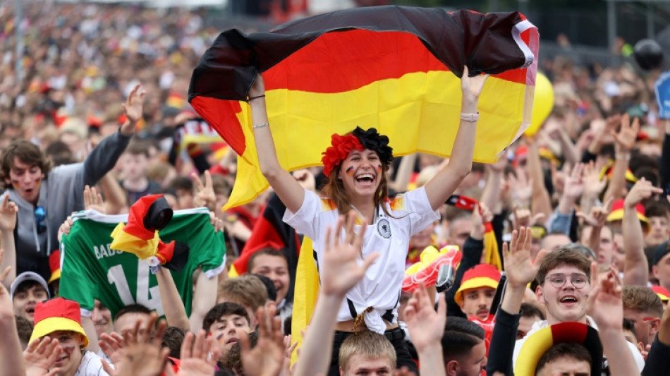 Ifo-Pr&auml;sident erwartet von Fu&szlig;ball-EM kaum &ouml;konomische Effekte