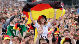 Ifo-Pr&auml;sident erwartet von Fu&szlig;ball-EM kaum &ouml;konomische Effekte