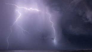 Con i temporali estivi picco dei fulmini tra luglio e agosto