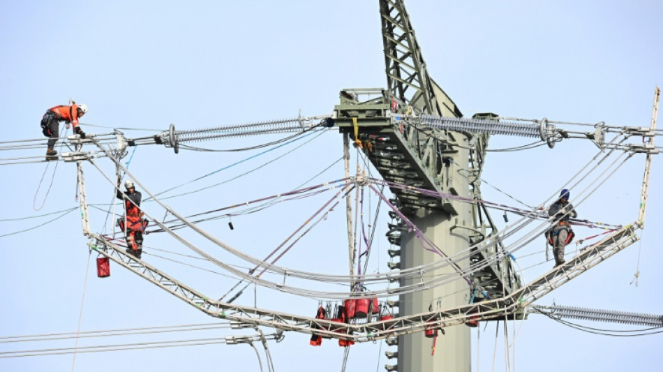  Handwerkspr&auml;sident warnt vor mehr Schwarzarbeit  