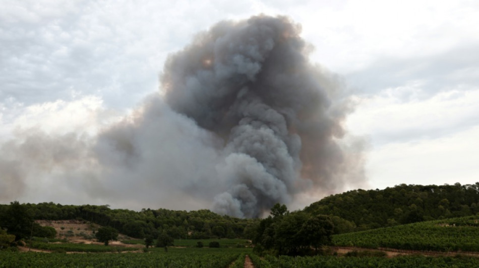  &iquest;Un regusto a humo? Los viticultores franceses est&aacute;n preocupados tras los incendios 