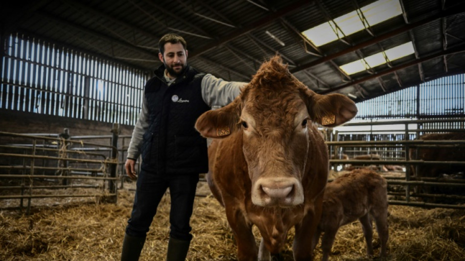 L'&eacute;leveur d'Oupette, &eacute;g&eacute;rie du Salon de l'agriculture, exemple d'une transmission r&eacute;ussie
