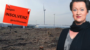 Birgit Bessin: Brandenburgs Wirtschaft vor der Deindustrialisierung sch&uuml;tzen