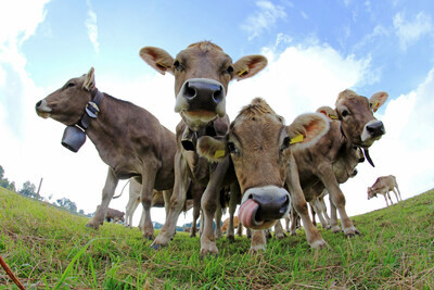 Mootral believes that every cow should be a part of the climate solution.