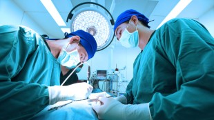BIOVISER geht eine Partnerschaft mit LVC ein